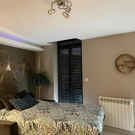 Le Centre Lejlighed *